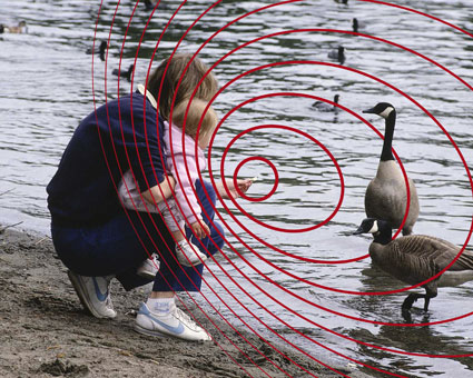 Mutter und Kind füttern Schwäne am See